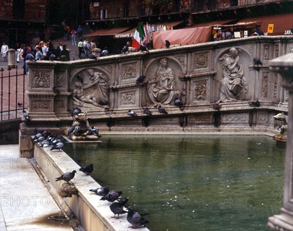FUENTE GAIA CON PALOMAS ALREDEROR EN EL CENTRO DE LA PLAZA DEL CAMPO
SIENA, EXTERIOR
ITALIA
This image is not downloadable. Contact us for the high res.
