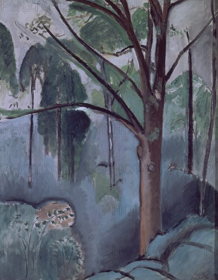 Matisse, "L'Etang de Trivaux"