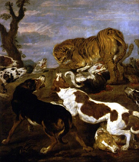 VOS PAUL DE 1596/1678
JAURIA DE PERROS ATACANDO  A UN TIGRE
MADRID, COLECCION DUQUES DE ALBA
MADRID