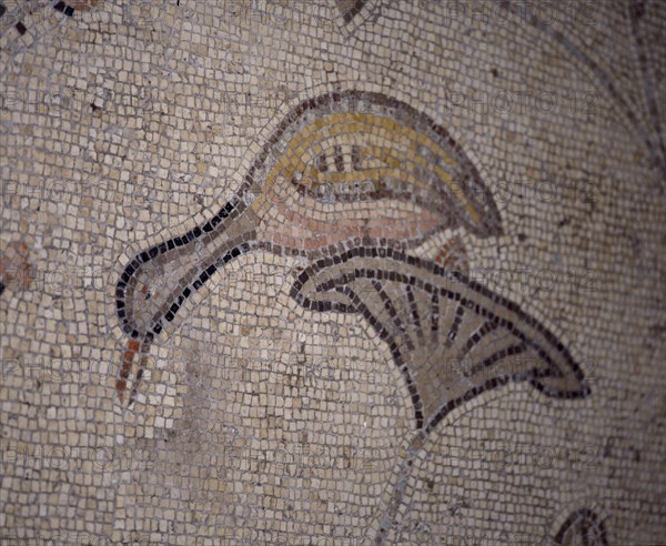 INTERIOR-DET MOSAICO BIZANTINO-PATO SOBRE UNA PLANTA
TABGHA, IGLESIA DE LOS PANES Y LOS PECES
ISRAEL
This image is not downloadable. Contact us for the high res.