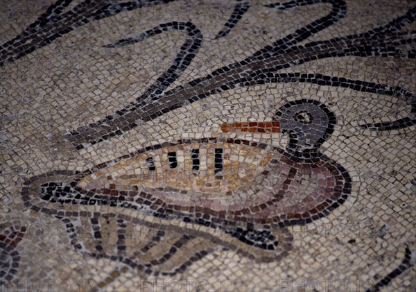 INTERIOR-DET MOSAICO BIZANTINO-PATO SOBRE UNA PLANTA
TABGHA, IGLESIA DE LOS PANES Y LOS PECES
ISRAEL
This image is not downloadable. Contact us for the high res.