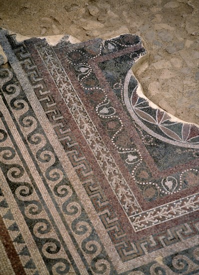 INTERIOR-DET MOSAICO DE MOTIVOS VEGETALES DEL SUELO PERTENECIENTE AL PERIODO DE HERODES
MASADA, PALACIO
ISRAEL

This image is not downloadable. Contact us for the high res.