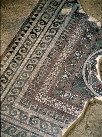 INTERIOR-DET MOSAICO DE MOTIVOS VEGETALES DEL SUELO PERTENECIENTE AL PERIODO DE HERODES
MASADA, PALACIO
ISRAEL

This image is not downloadable. Contact us for the high res.