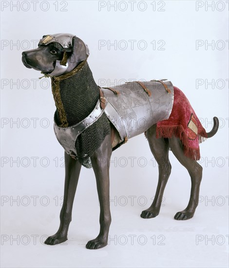 ARMADURA DE PERRO LEBREL-AUGSBURGO H.1540/50-ACERO GRABADO(PERTENECIA A CARLOS V)
MADRID, ARMERIA REAL
MADRID