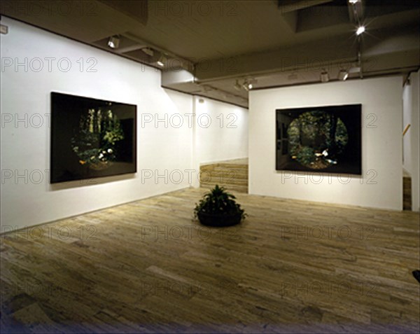 COLLISHAW MAT
SALA-IZQ:"THE AWAKENING OF CONSCIENCE,EMILY 1997"FRENTE:"CLARA 1997"
MADRID, GALERIA SOLEDAD LORENZO
MADRID