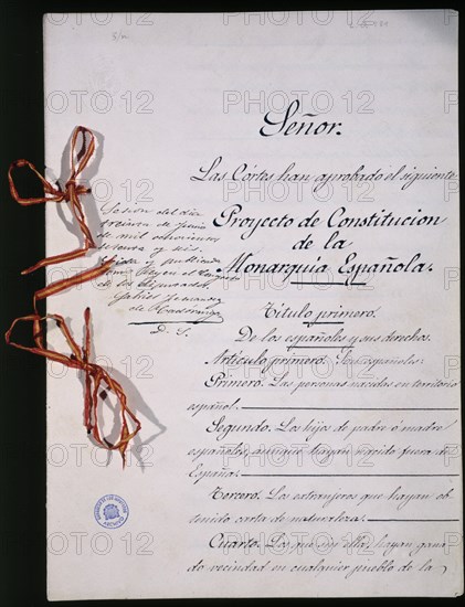 CONSTITUCION DE 1876-1ªPAGINA-TEXTO MANUSCRITO DEL PROYECTO DE CONSTITUCION
MADRID, CONGRESO DE LOS DIPUTADOS-BIBLIOTECA
MADRID

This image is not downloadable. Contact us for the high res.