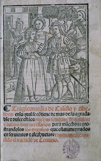 ROJAS FERNANDO DE 1470/1541
TRAGICOMEDIA DE CALISTO Y MELIBEA-EDICION DE SEVILLA 1523-R-30427
MADRID, BIBLIOTECA NACIONAL RAROS
MADRID