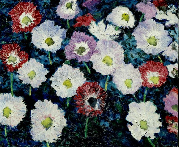 BOTI RAFAEL 1900/85
PINTURA (FLORES)
MADRID, COLECCION BOTI
MADRID