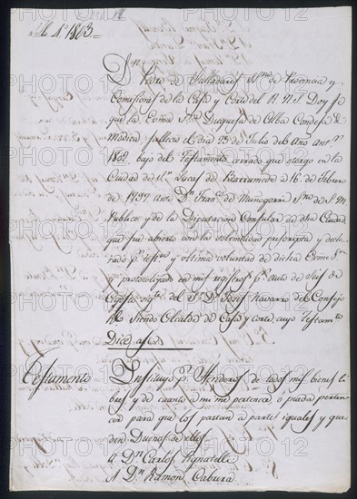 TESTAMENTO DE LA DUQUESA DE ALBA-MARIA DEL PILAR TERESA CAYETANA DE SILVA Y ALVAREZ DE TOLEDO-1803-
MADRID, COLECCION DUQUES DE ALBA
MADRID
This image is not downloadable. Contact us for the high res.