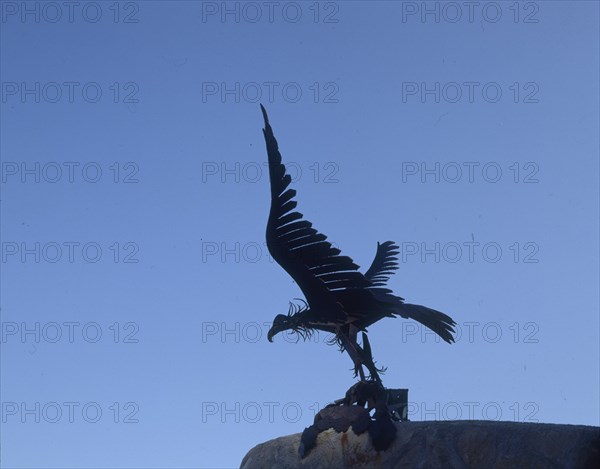 ESCULTURA DE UNA AGUILA - FORJA
JAVEA, EXTERIOR
ALICANTE