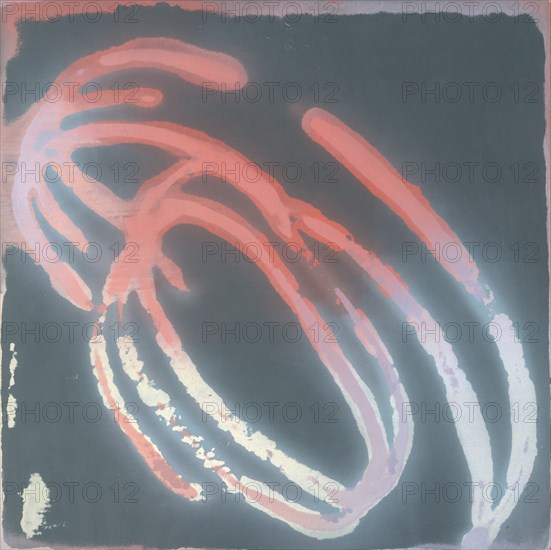 BROTO JOSE MANUEL 1949/
RIZO - 1999 - 100 x 100 cm - ACRILICO/ LIENZO
MADRID, GALERIA SOLEDAD LORENZO
MADRID
This image is not downloadable. Contact us for the high res.
