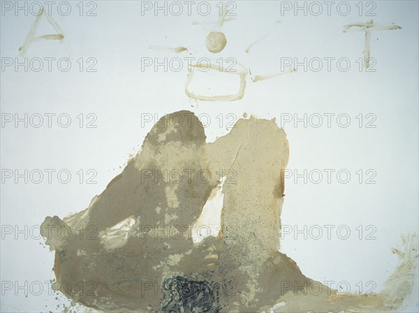 TAPIES ANTONI 1923-
VISIO - 1994- 226  X 300 cm - Polvo Marmol-Barniz-Collage/Tela
MADRID, GALERIA SOLEDAD LORENZO
MADRID