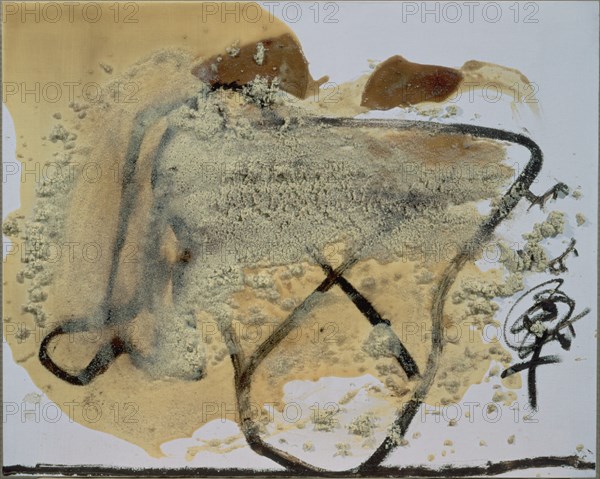 TAPIES ANTONI 1923-
FORMES - 1995 - 65  X 81 cm - Barniz-Pintura/Madera
MADRID, GALERIA SOLEDAD LORENZO
MADRID

This image is not downloadable. Contact us for the high res.