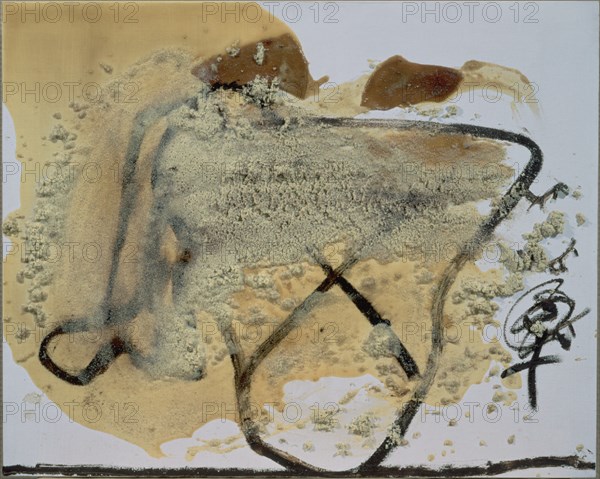 TAPIES ANTONI 1923-
FORMES - 1995 - 65  X 81 cm - Barniz-Pintura/Madera
MADRID, GALERIA SOLEDAD LORENZO
MADRID