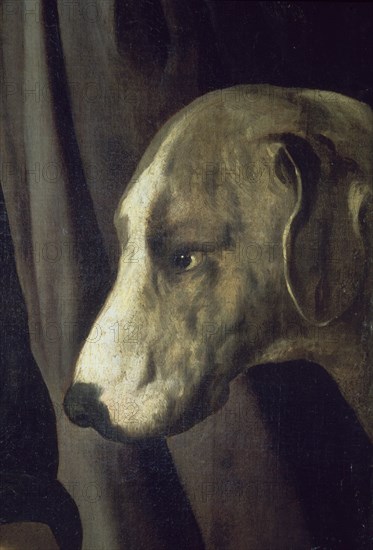 Zurbaran, Martyrdom of James - Head of dog (detail)