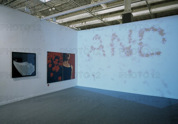 ABAD ANTONI
EGO (INGLES) - 1999 - STAND EN ARCO 2000
MADRID, GALERIA OLIVA ARAUNA
MADRID
This image is not downloadable. Contact us for the high res.