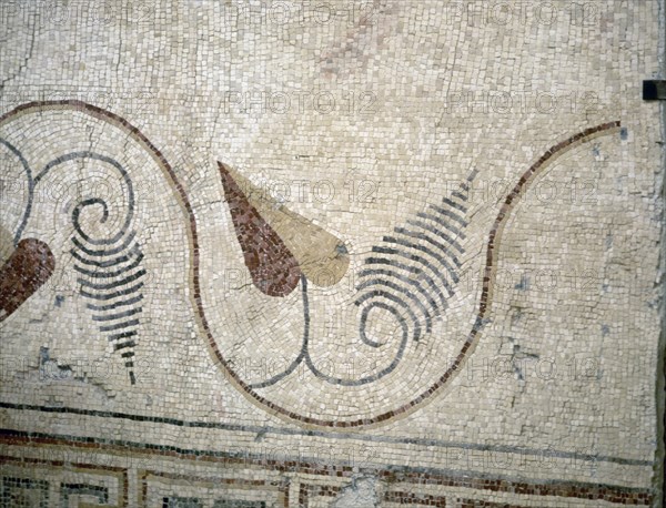 MOTIVOS VEGETALES DE UN MOSAICO PALEOCRISTIANO DE LA BASILICA DE NEBO
NACION, MONTE NEBO
JORDANIA