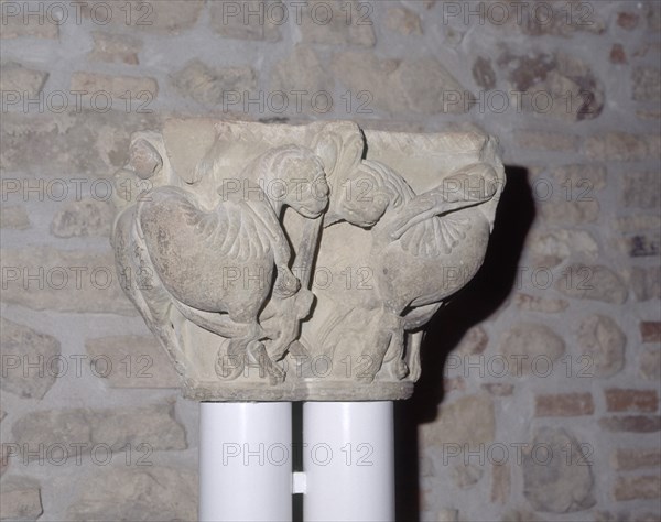 MUSEO - CAPITEL ROMANICO DECORADO CON ANIMALES FANTASTICOS- S XII
BOTAYA, MONANSTERIO DE SAN JUAN DE LA PEÑA
HUESCA