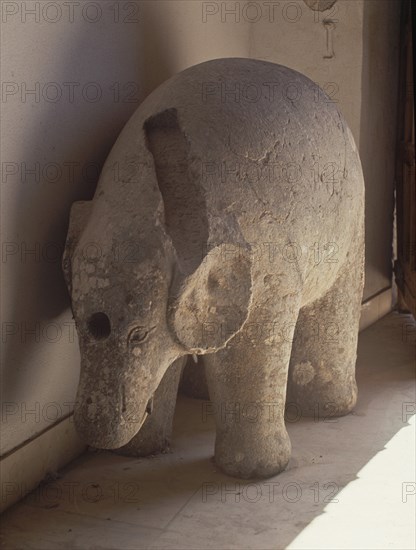 ELEFANTE DE GRANITO S X- DISTRIBUIDOR DE AGUA POR UNA TUBERIA HORADADA EN SU INTERIOR
CORDOBA, MUSEO BELLAS ARTES
CORDOBA