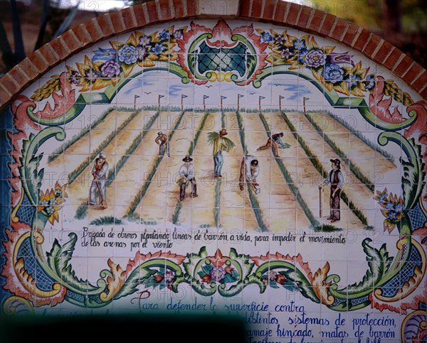 AZULEJERIA - OBREROS PLANTANDO BARRON PARA IMPEDIR EL MOVIMIENTO DE LAS ARENAS POR EL VIENTO
GUARDAMAR DEL SEGURA, EXTERIOR
ALICANTE
This image is not downloadable. Contact us for the high res.