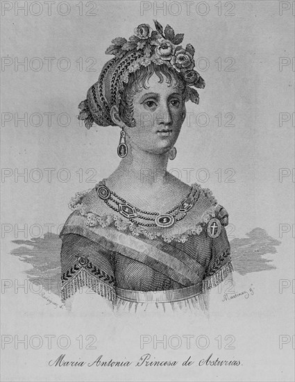 Marie-Antoinette-Thérèse de Bourbon