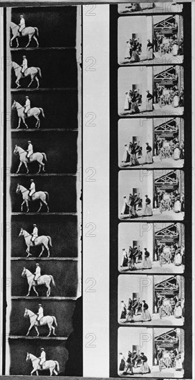 CABALLO RODADO POR MAREY Y SALIDA DE LOS OBREROS DE LA FABRICA RODADO POR LOS HERMANOS LUMIERE
Grabados sin documentar

This image is not downloadable. Contact us for the high res.