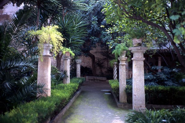JARDIN
PALMA, BAÑOS ARABES
MALLORCA

This image is not downloadable. Contact us for the high res.