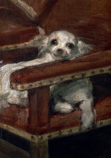 Velasquez, L'Infant Philippe Prosper (détail du chien)