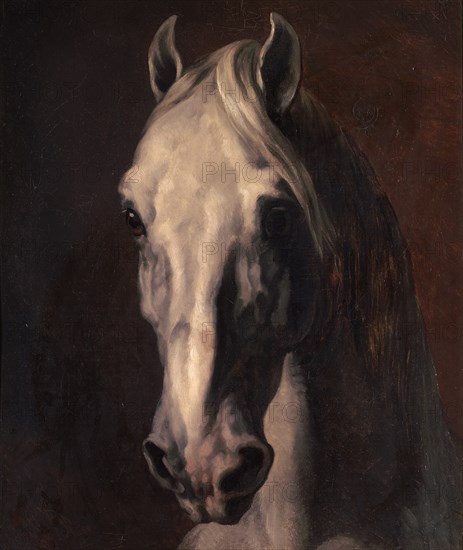 GERICAULT THEODORE 1791/1824
CABEZA DE CABALLO BLANCO - O/T - S XIX - ROMANTICISMO FRANCES
PARIS, MUSEO LOUVRE-INTERIOR
FRANCIA