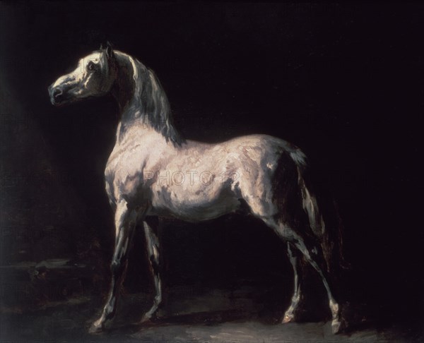 GERICAULT THEODORE 1791/1824
UN CABALLO - S XIX - O/L - 66x82 - ROMANTICISMO FRANCES
DUBLIN, NATIONAL GALLERY
IRLANDA