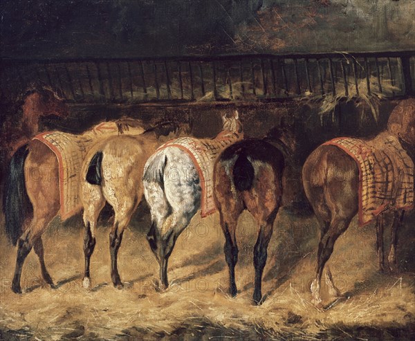 GERICAULT THEODORE 1791/1824
CINCO CABALLOS VISTOS POR LA GRUPA - S XIX - ROMANTICISMO FRANCES
PARIS, MUSEO LOUVRE-INTERIOR
FRANCIA