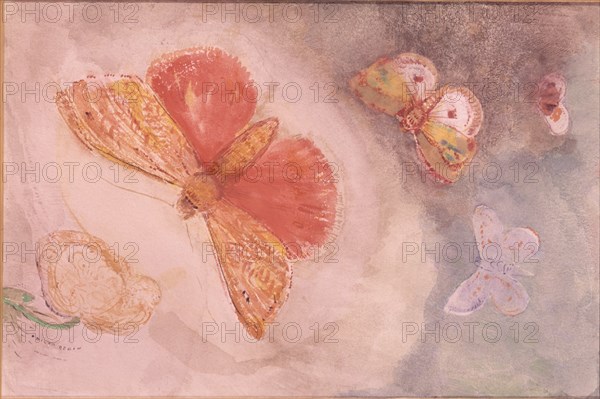 REDON ODILON 1840/1916
MARIPOSAS Y FLORES - 23x15,5
PARIS, MUSEO PETIT PALAIS
FRANCIA