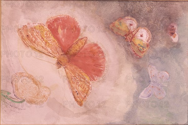 REDON ODILON 1840/1916
MARIPOSAS Y FLORES - 23x15,5
PARIS, MUSEO PETIT PALAIS
FRANCIA