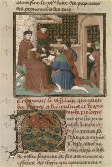 ANGLAIS BARTHELEMY
LIBRO DE LA PROPIEDAD DE LAS COSAS - JEAN DUQUE DE BERRY ESCOGE JOYAS - MANUSCRITO - S XV
PARIS, BIBLIOTECA NACIONAL
FRANCIA