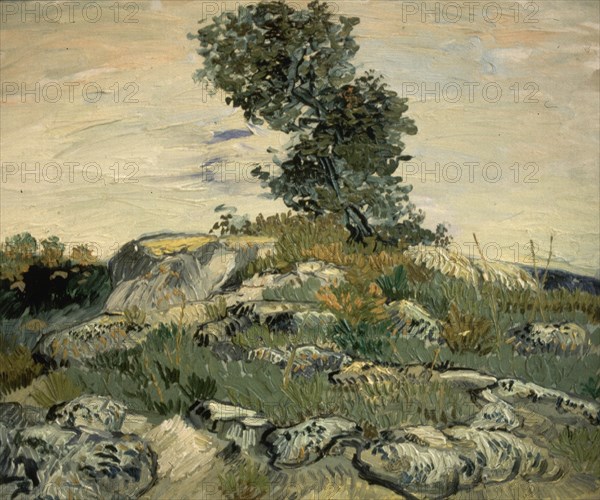 Van Gogh, Rocks with Oak Tree
