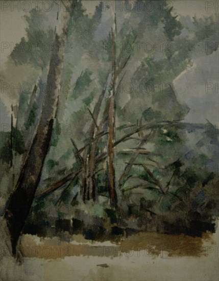 Cézanne, Trees on the Chemin du Tholonet