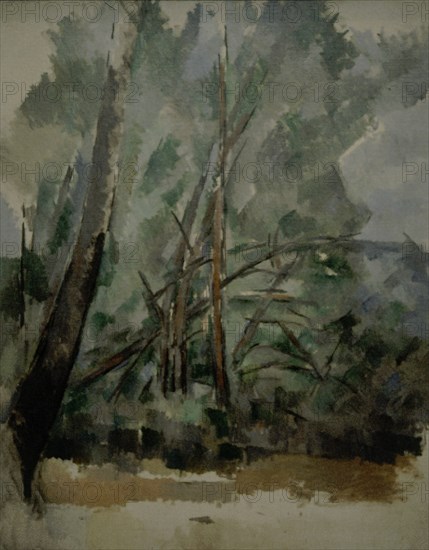 Cézanne, Arbres Sur La Route du Tholonet