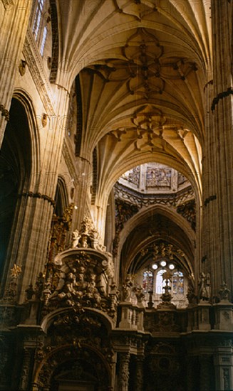 BOVEDAS DE CRUCERIA ESTRELLADA Y TRASCORO DE LA NAVE CENTRAL
SALAMANCA, CATEDRAL NUEVA
SALAMANCA
This image is not downloadable. Contact us for the high res.