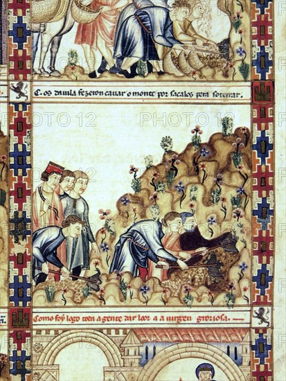 ALFONSO X EL SABIO 1221/84
D-MS.B.R.20-CANTIGA STA MARIA-Nº252-F82-D-ARENERO SACA ARENA PARA OBRA EN CASTROGERIZ
FLORENCIA, BIBLIOTECA NACIONAL
ITALIA
This image is not downloadable. Contact us for the high res.