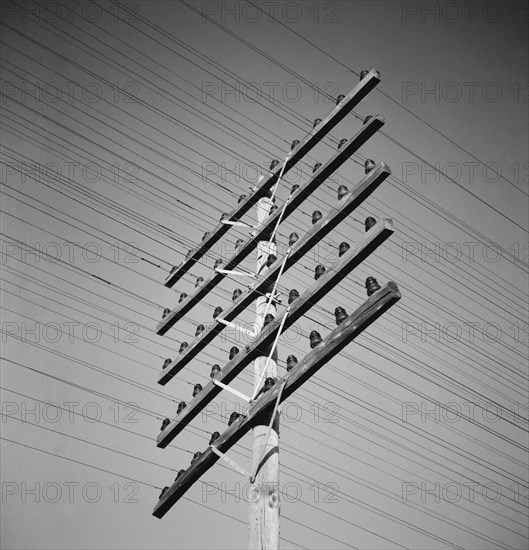 POSTE DE TELEFONOS - 1949 - ByN 23570
ARGANDA, EXTERIOR
MADRID