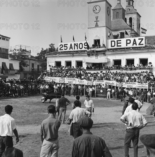 ENCIERRO EN ARGANDA DEL REY - NOVILLO EN LA PLAZA DEL PUEBLO - 1964 - ByN 41361
ARGANDA, EXTERIOR
MADRID