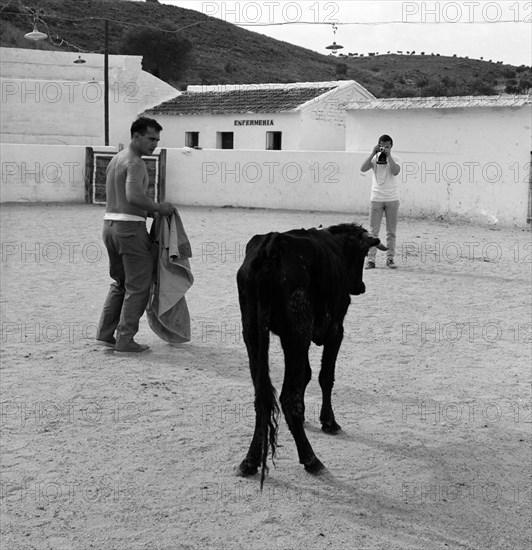 FOTOGRAFO HACIENDO UNA FOTO A UNA VAQUILLA - TENTADERO FRASCUELO - AÑOS 60 - ByN
PROVINCIA, EXTERIOR
MADRID

This image is not downloadable. Contact us for the high res.