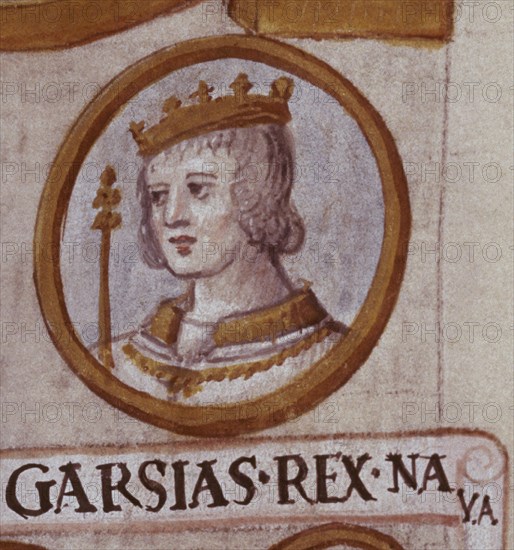 CARTAGENA ALFONSO DE 1385-1456
D- GARCIA REY DE NAVARRA-GENEALOGIA DE LOS REYES DE ESPAÑA-CODICE COPIADO EN EL S XVI POR DIONISIO
MADRID, BIBLIOTECA NACIONAL
MADRID