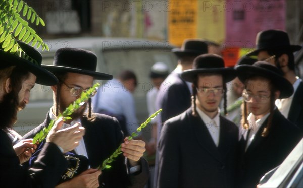 Succot, fête des récoltes en Israël