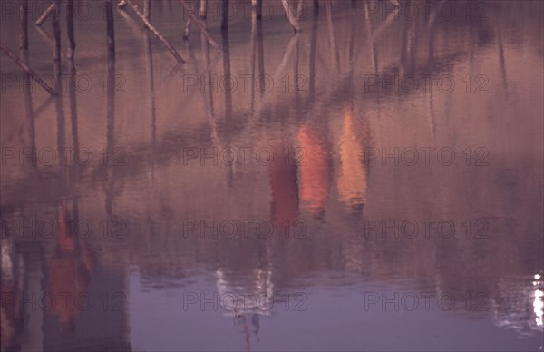Reflets de trois moines dans l'eau, au Cambodge