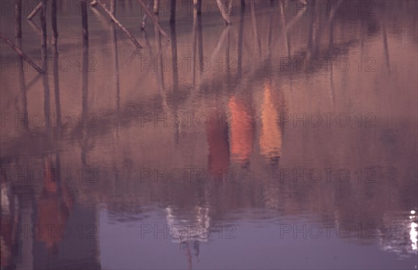 Reflection with monks, Cambodia