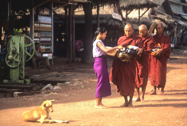 Burmese monks receiving rice from a villager on their early morning alms round