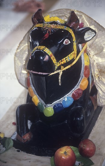 Nandi, the vahava, mount of Lord Shiva