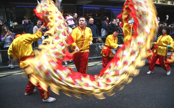 Chinese new year dragon