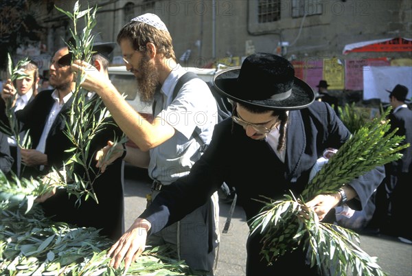 Jews selecting lulav willow branches one of the `four kinds` for the Feast of the Tabernacles Mea SHearim Jerusalem Israel